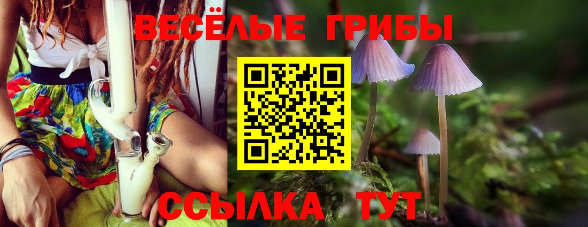 Галлюциногенные грибы мухоморы  Псилоцибиновые грибы ЛСД  Алейск  купить наркотик  Вход с VPN 
